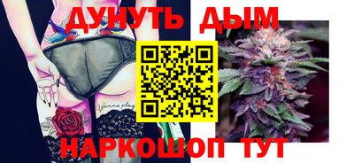 тгк Бийск