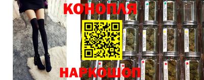 шишки Отрадный