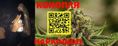тгк Бийск
