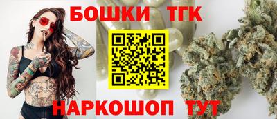тгк Бийск