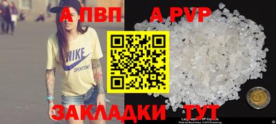 тгк Бийск