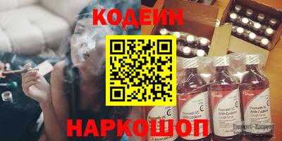 тгк Бийск