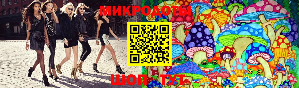 Карачаевск  Галлюциногенные грибы GOLDEN TEACHER  купить  цена  Вход с VPN 